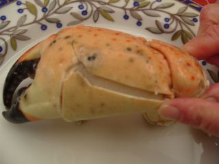 stone-crab